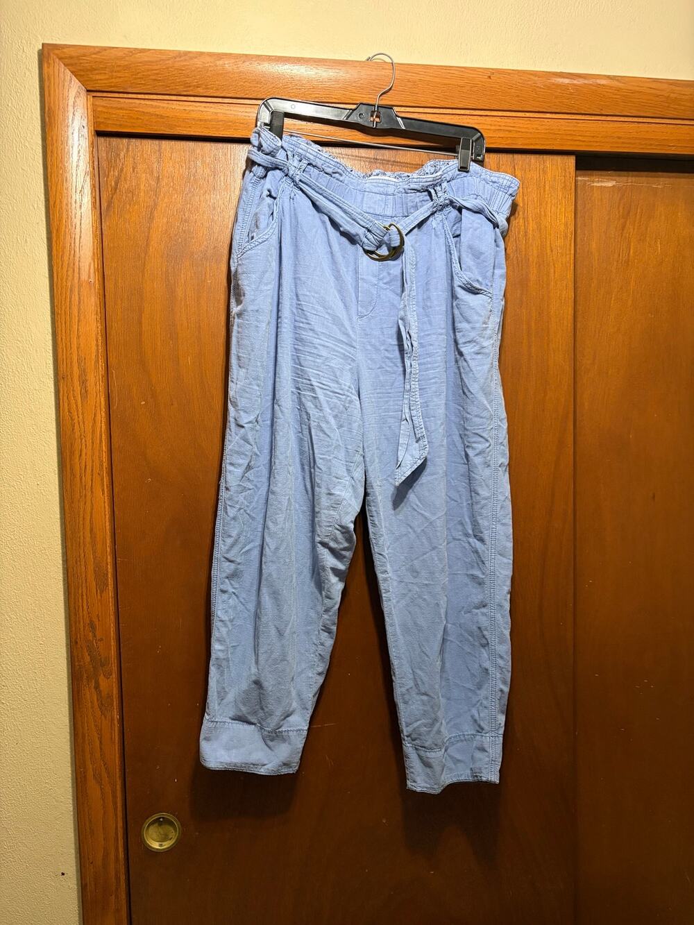 A+ by Anthropologie 1X Blue Paperbag Waist Cargo Pants Ring Belt Cropped